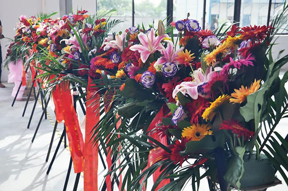 ̱yl23411¼ɷݳǹ˳Ͷ